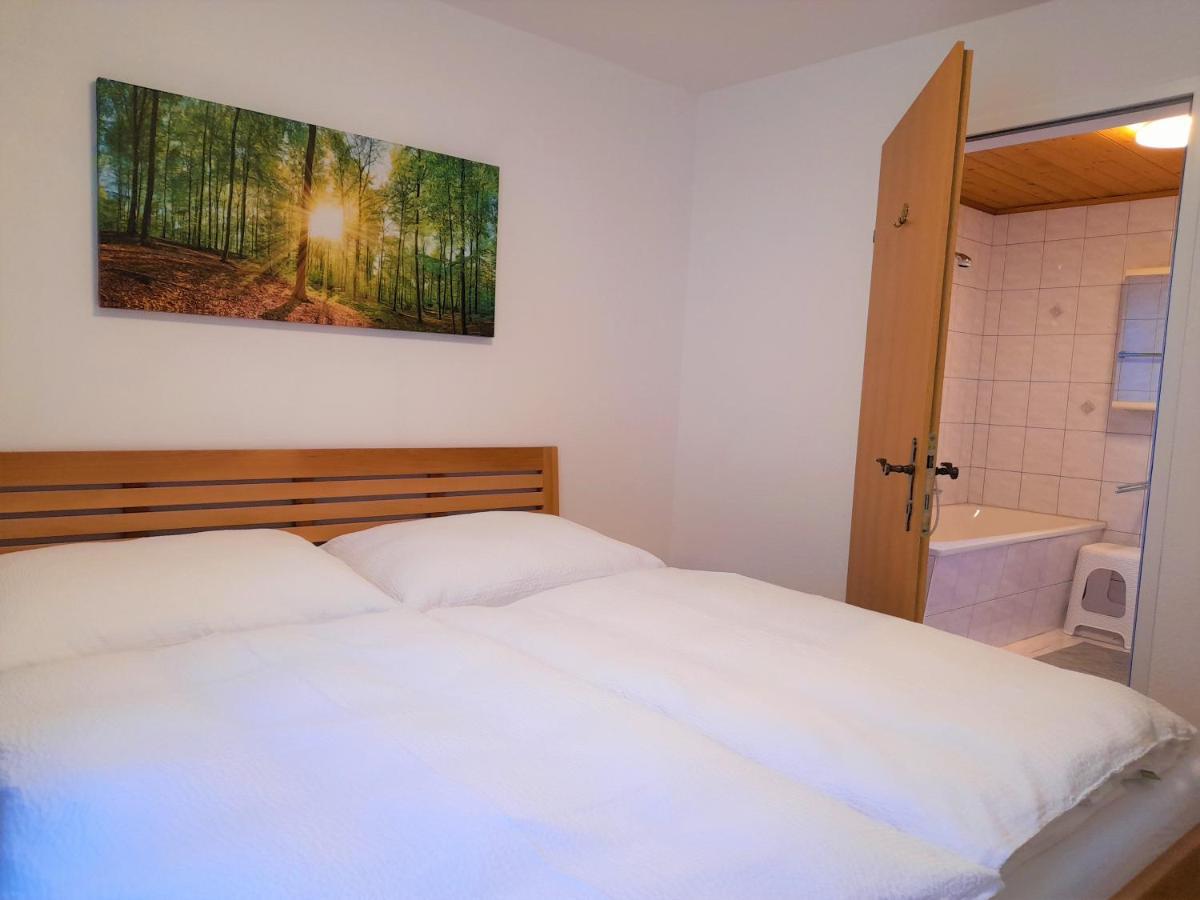 Sonnenchalet Neusess Mauterndorf  Extérieur photo